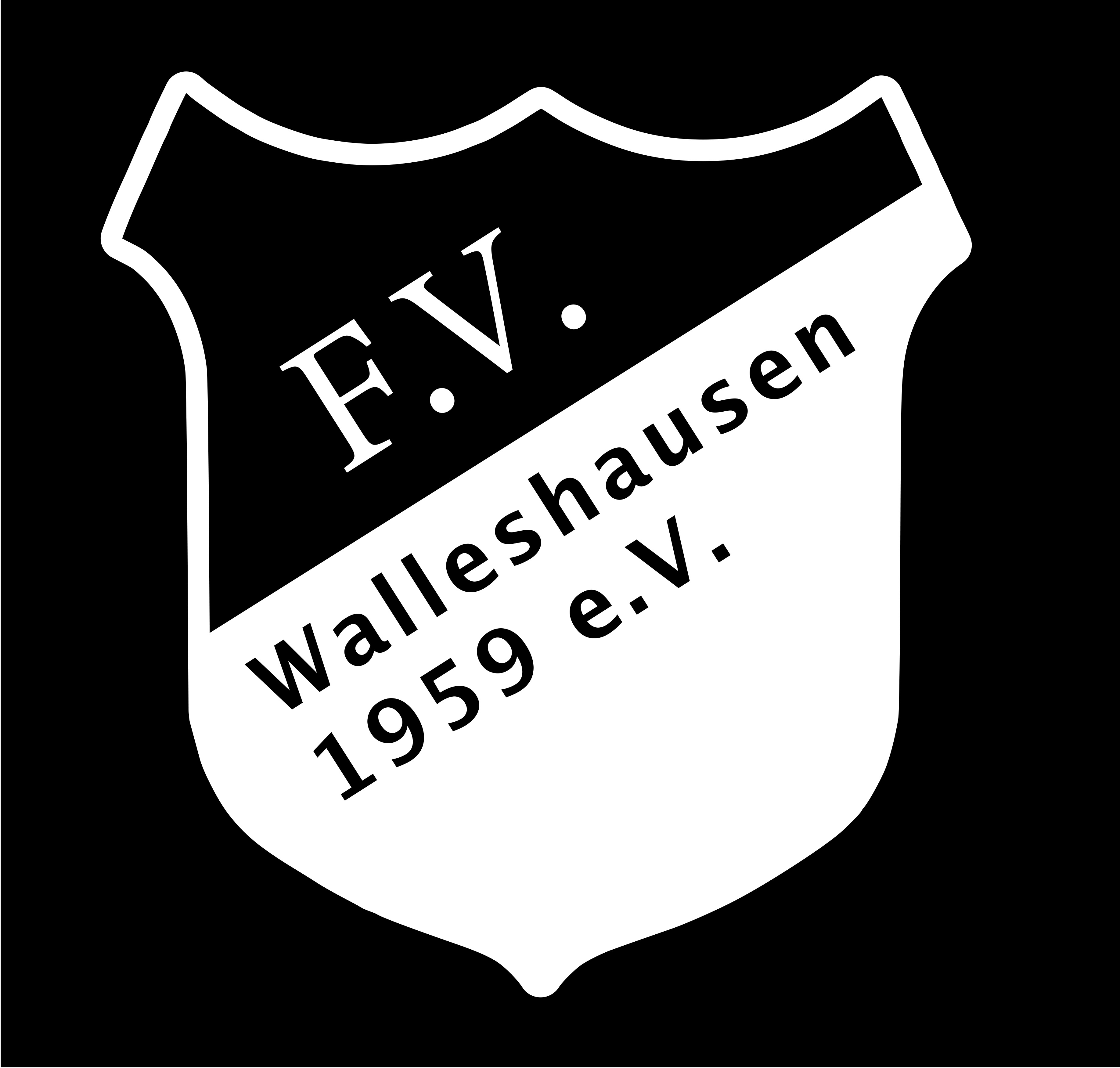 FV Walleshausen